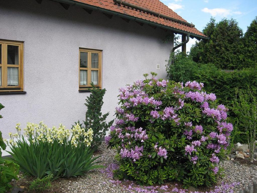 Spitzner Stornstein